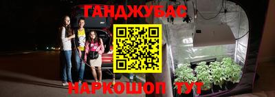 прущие грибы Обнинск