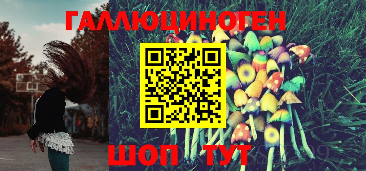 Галлюциногенные грибы Psilocybine cubensis Ртищево