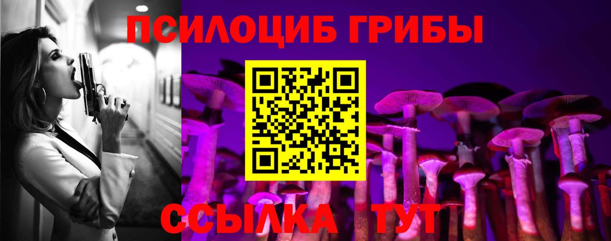 закладки  Псилоцибиновые грибы Magic Shrooms  Вход с VPN  Ртищево 